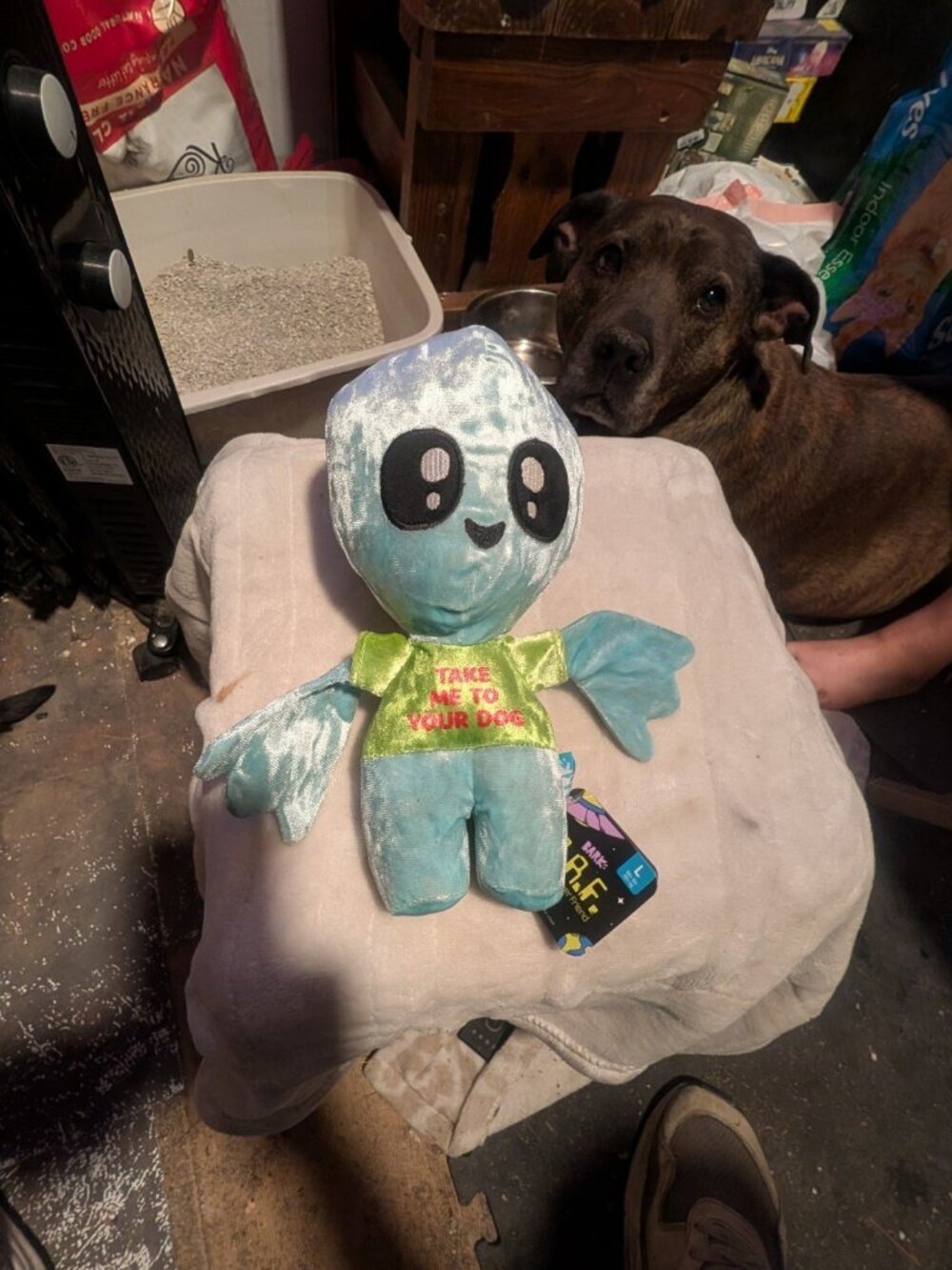 Bark Box A.R.F. ALIEN RETRIEVER FRIEND Dog Toy Large (50+ lbs) Squeaks Plush